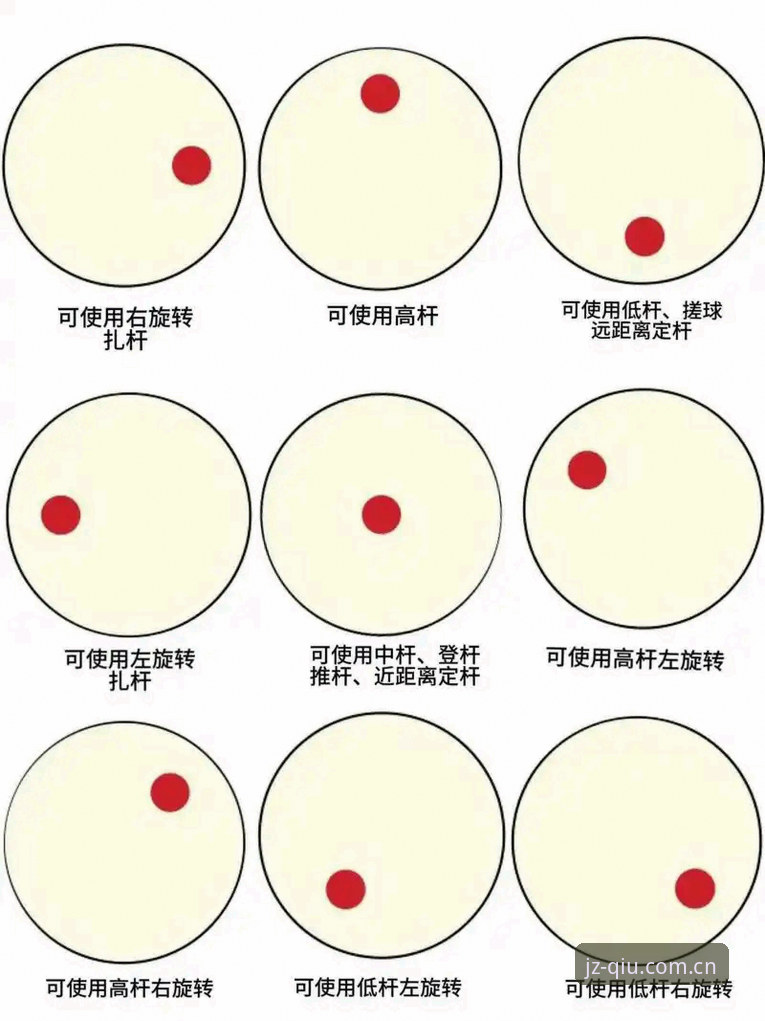 揭秘九州体育官方网站：新手玩球从入门到精通的全流程指南