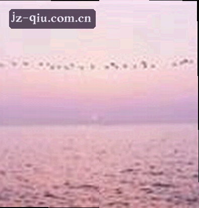 王浩